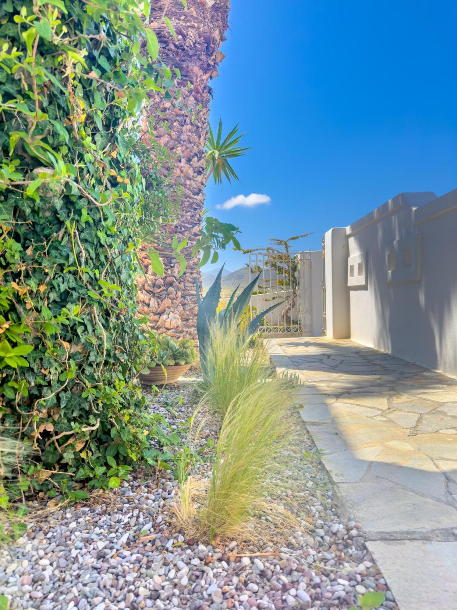Kefalas Studio In Naousa Buitenkant foto