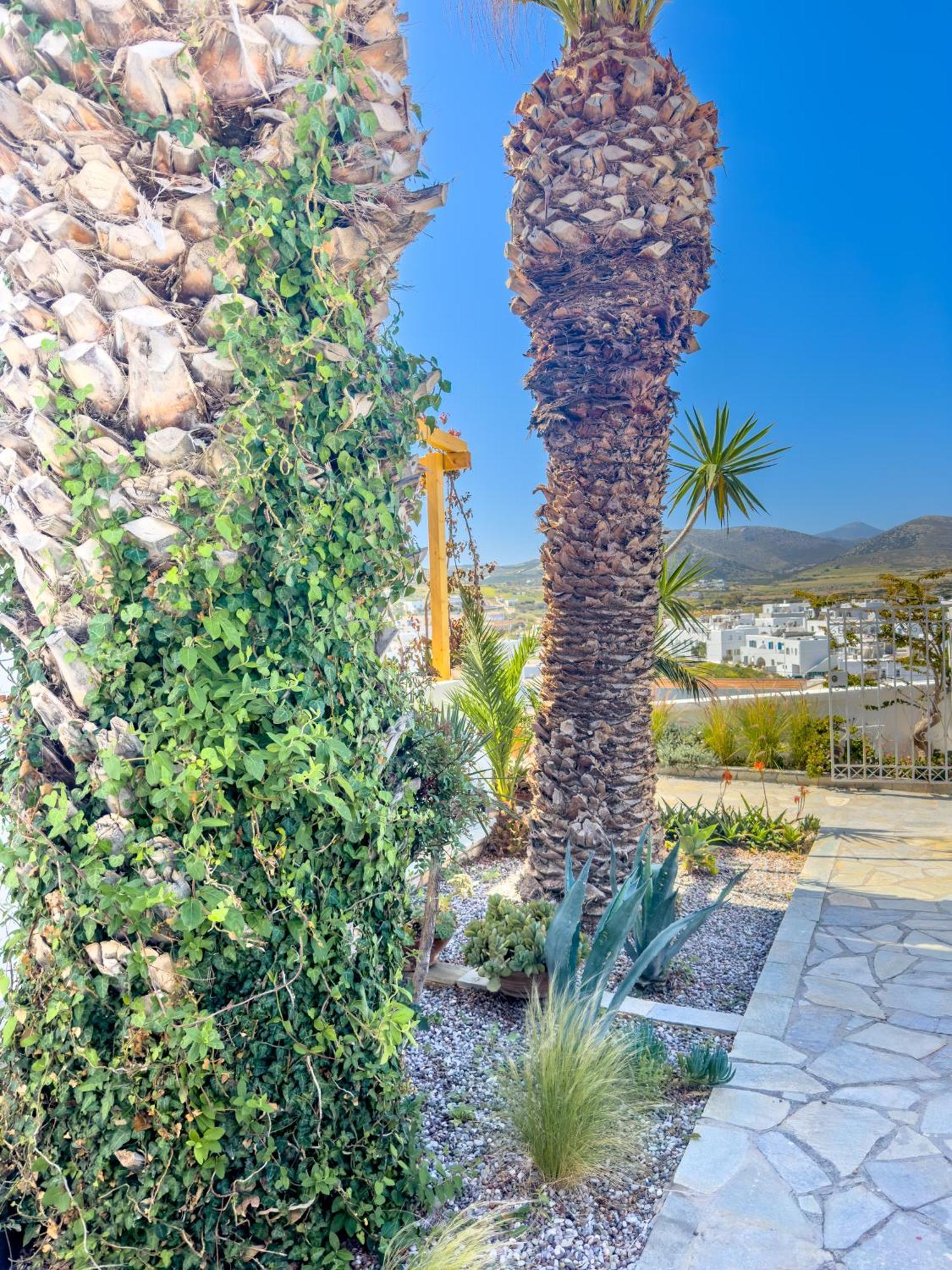Kefalas Studio In Naousa Buitenkant foto
